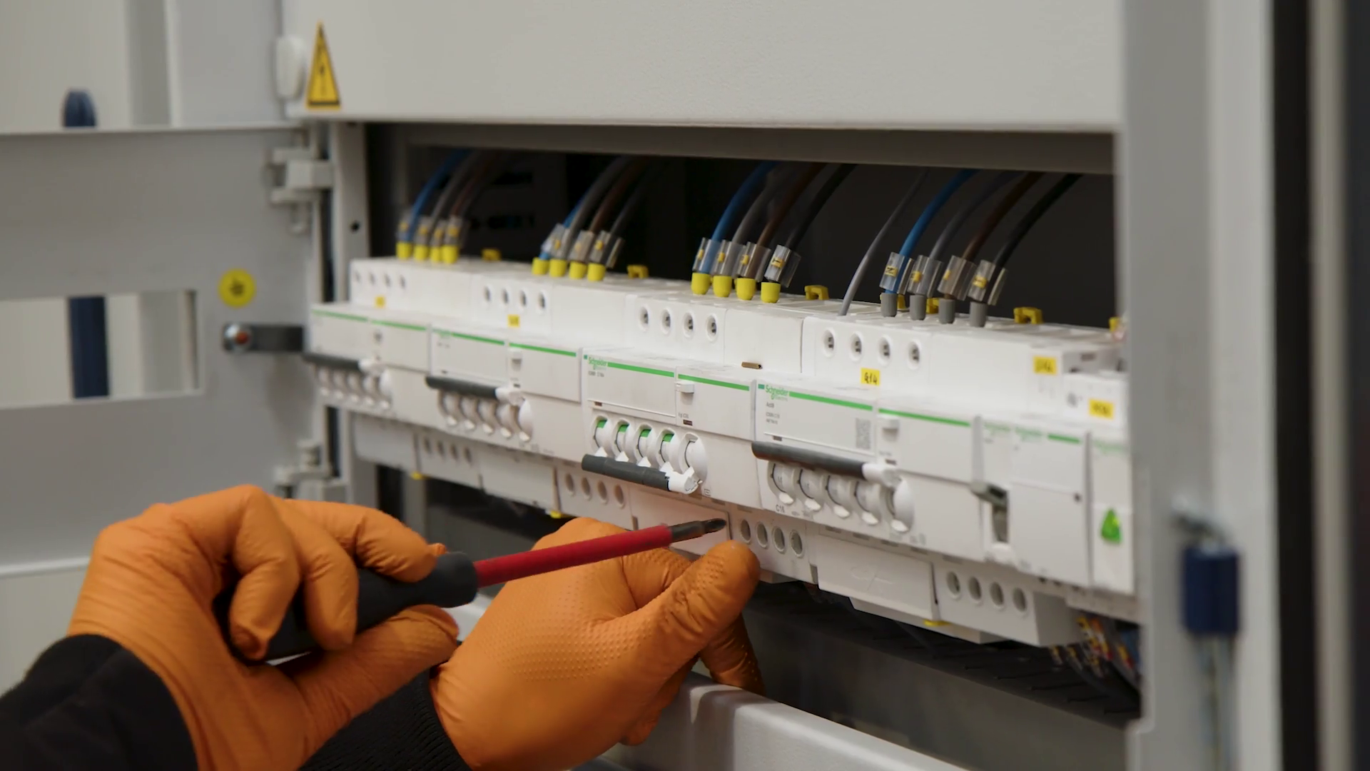 vlcsnap-2026-01-19-17h30m14s976